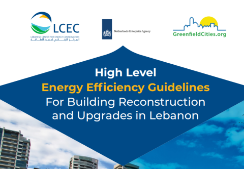 Energy Efficiency Guidelines